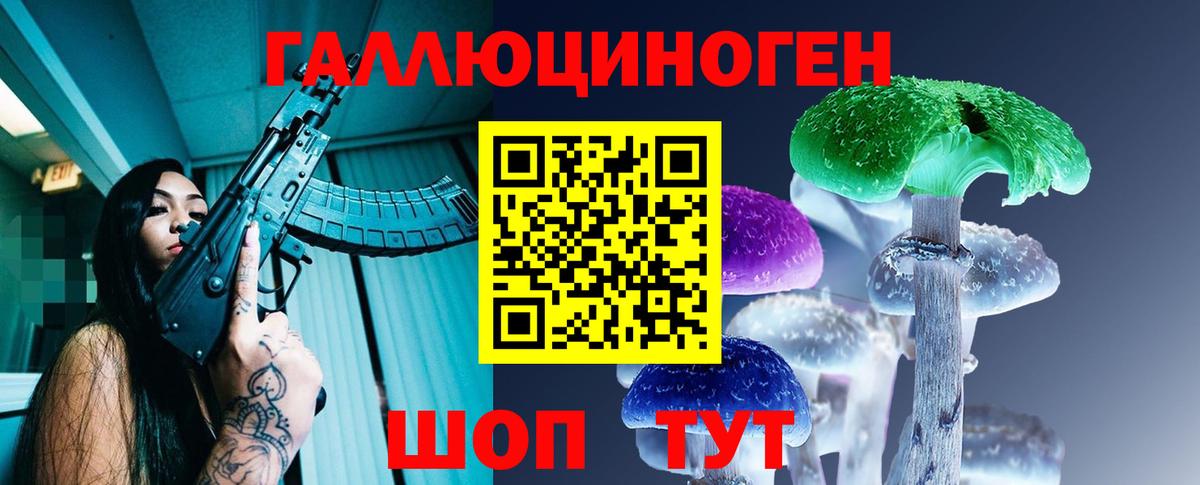 Котельники  Галлюциногенные грибы MAGIC MUSHROOMS  Вход с VPN 